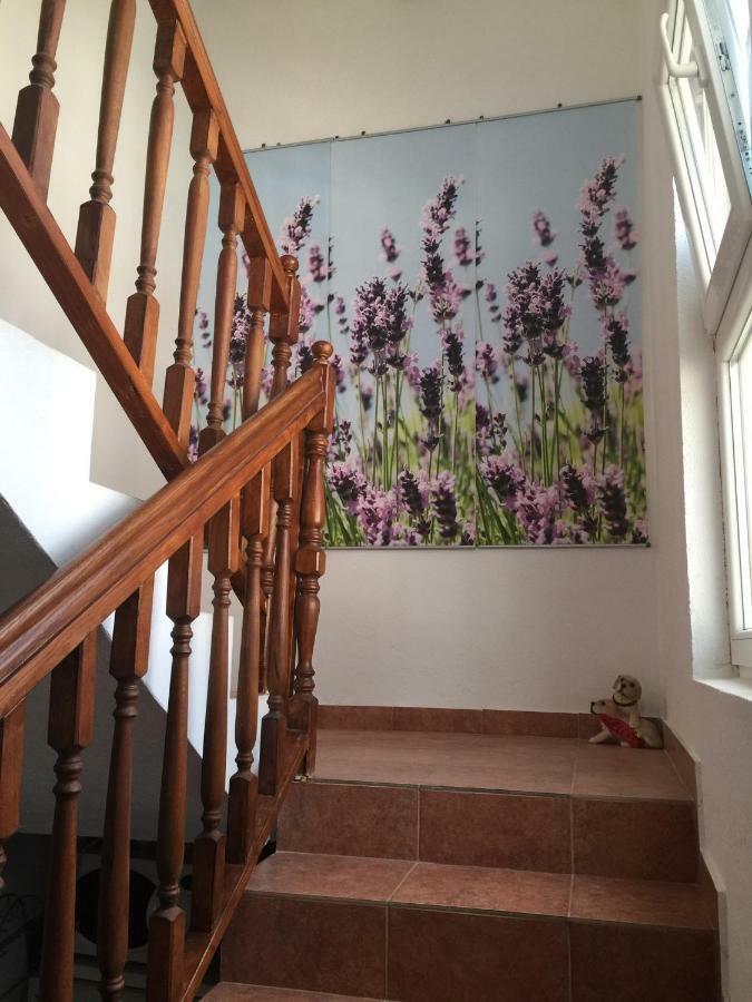 Apartments Villa Dolmar 沃迪切 外观 照片